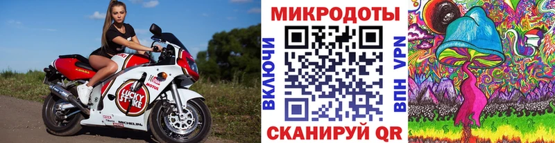 Галлюциногенные грибы ЛСД  Кущёвская 